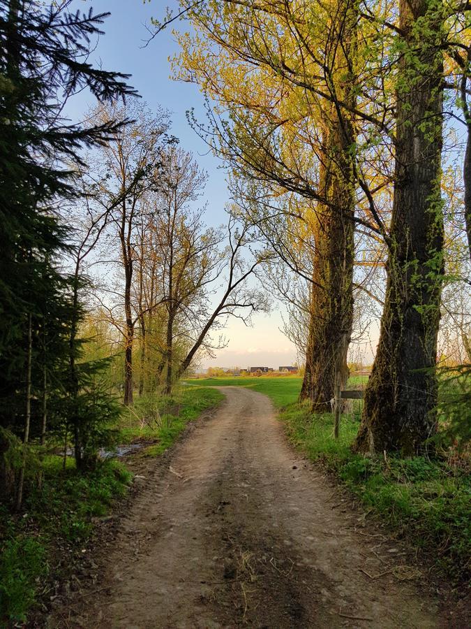 Pokoje Pod Bocianem Chocholow Buitenkant foto
